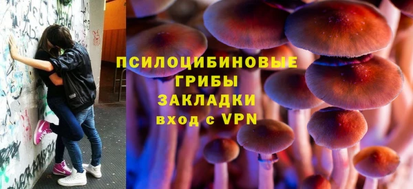 Альфа ПВП Магас