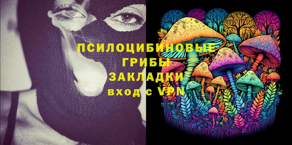 Альфа ПВП Магас