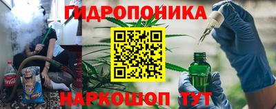 a pvp Пенза