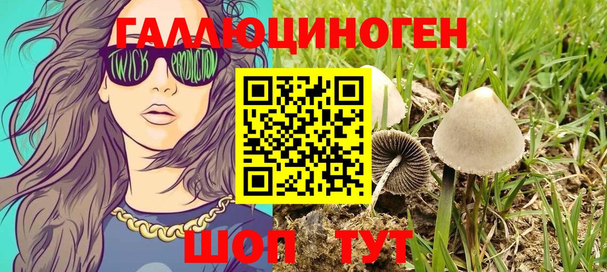 Лосино-Петровский  Галлюциногенные грибы Cubensis  Вход с VPN 